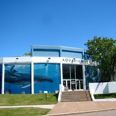 Falls Retreat - Walk To The Falls, The Casino And All Downtown Restaurants - Across From The Aquarium Niagara Falls Bagian luar foto