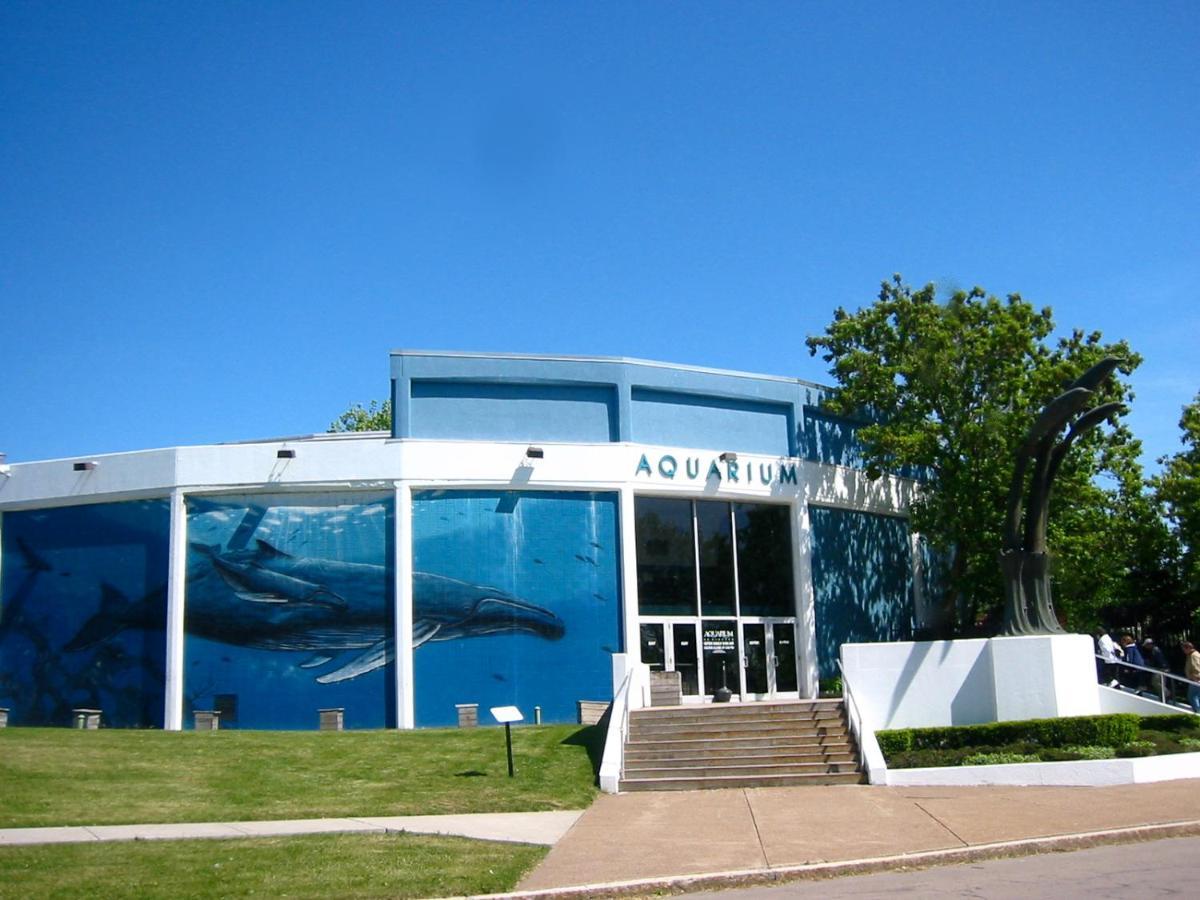 Falls Retreat - Walk To The Falls, The Casino And All Downtown Restaurants - Across From The Aquarium Niagara Falls Bagian luar foto